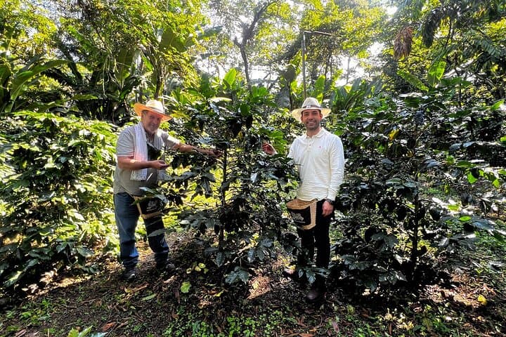 Hands-On Coffee Farm Tour from Salento: Seed-to-Cup Experience in Colombia's Coffee Triangle