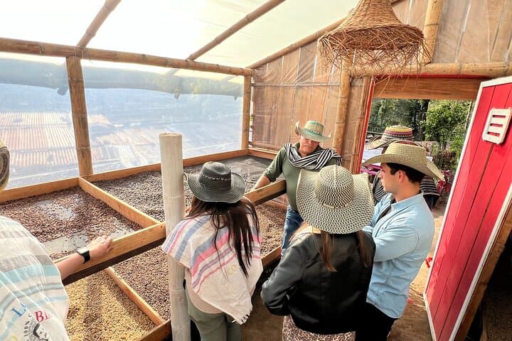 Hands-On Coffee Farm Tour from Salento: Seed-to-Cup Experience in Colombia's Coffee Triangle photo 2