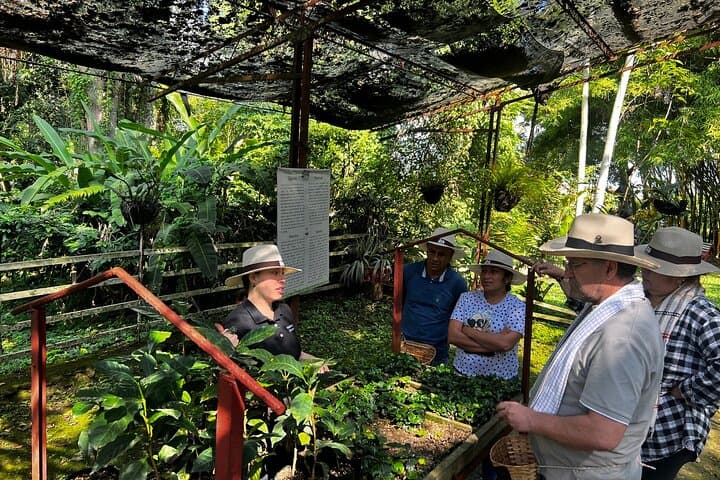 Hands-On Coffee Farm Tour from Salento: Seed-to-Cup Experience in Colombia's Coffee Triangle photo 4