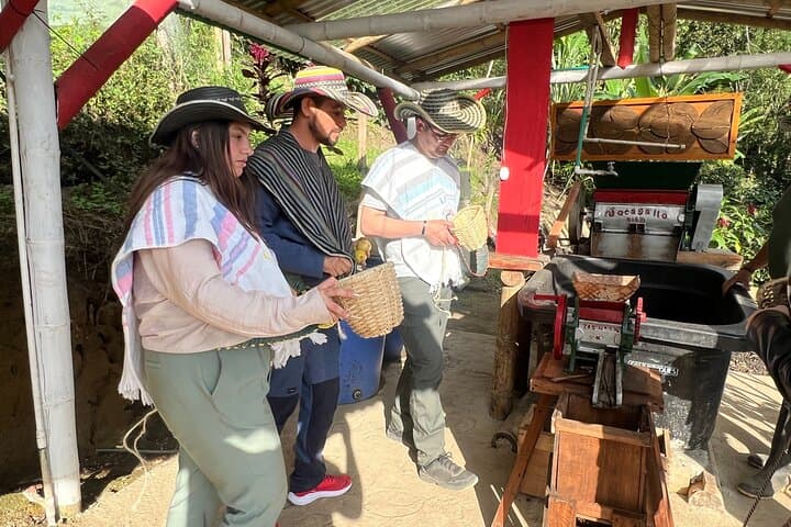 Hands-On Coffee Farm Tour from Salento: Seed-to-Cup Experience in Colombia's Coffee Triangle photo 6