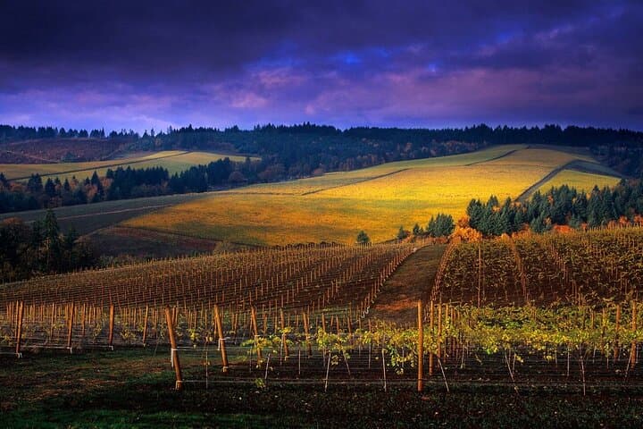 Willamette Valley Private Wine Tour from Portland — Tasting Fees Included photo 2