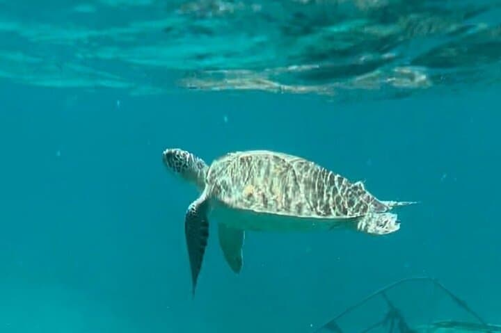 St. Thomas Jeep Tour & Sail Snorkel Combo — Full-Day Land and Sea Adventure photo 6