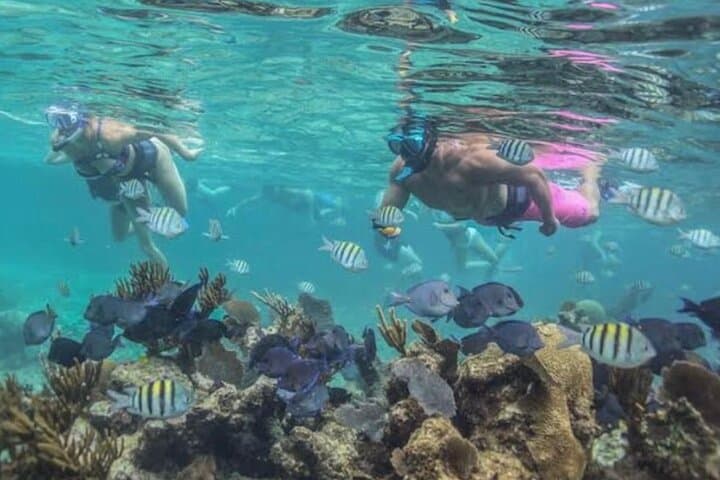 Tulum Ruins, Akumal Sea Turtles & Cenote Swim: Private Snorkel Tour photo 6