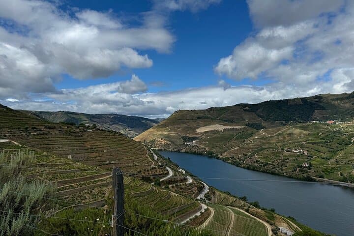 Douro Valley Half-Day Wine Tour from Porto — Winery Tasting, Lunch & Scenic Viewpoints photo 3
