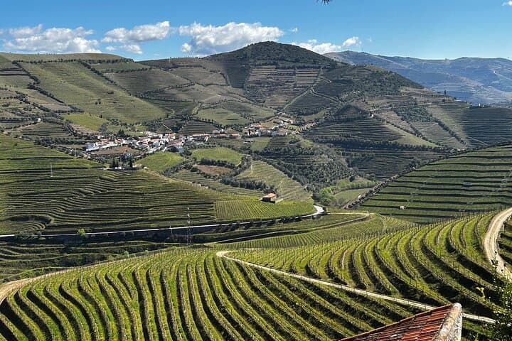 Douro Valley Half-Day Wine Tour from Porto — Winery Tasting, Lunch & Scenic Viewpoints