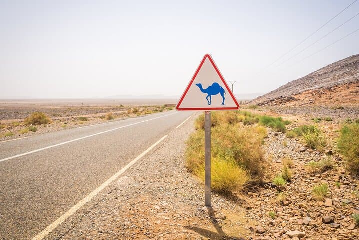 5-Day Private Desert Tour from Marrakech to Merzouga & Zagora photo 2