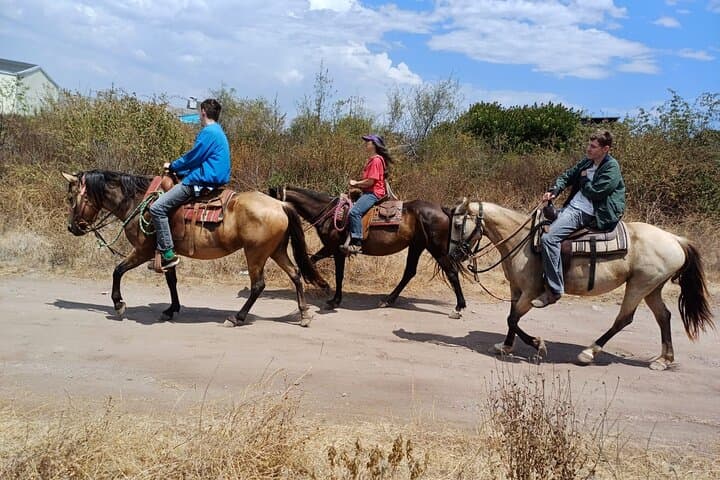 Desert Peaks on Horseback: Ensenada Mountain Trail Ride with Ocean Views