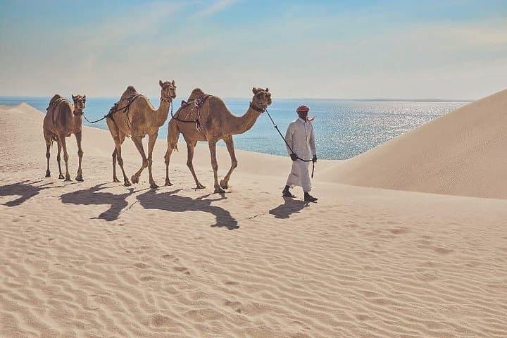 Doha Desert Safari: Sunrise & Sunset Sandboarding and Camel Ride to Khor Al Adaid photo 6