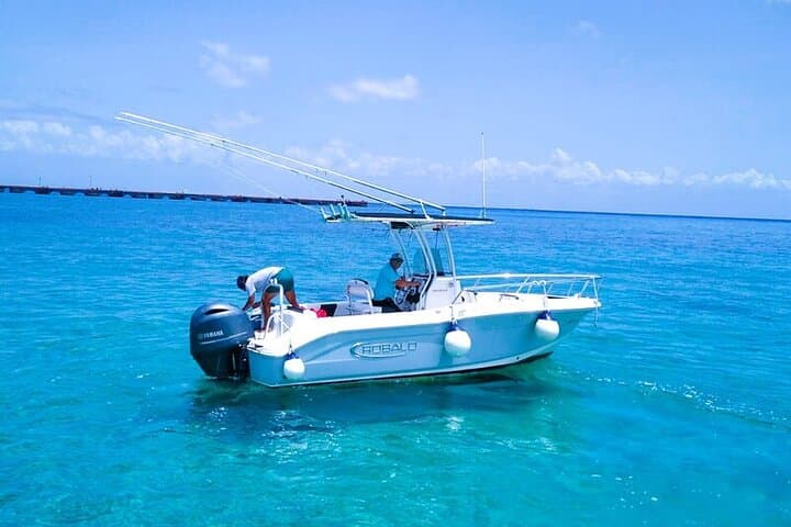 Private Boat to El Cielo & Palancar: Cozumel Private Snorkel Charter photo 5