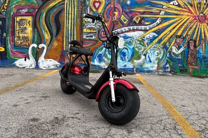 Cruise Downtown Houston: Fat Tire 2-Seater Rentals for Urban Exploration photo 2