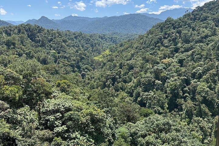 Mindo Cloud Forest Guided Tour: Hummingbirds, Waterfalls & Butterfly Garden photo 3