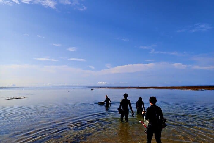 Blue Cave & Turtle Point Snorkeling — Ishigaki's Best Shallow Reefs photo 6
