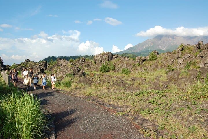 Sakurajima Volcano Walk and Camellia Oil Workshop — Kagoshima Experience