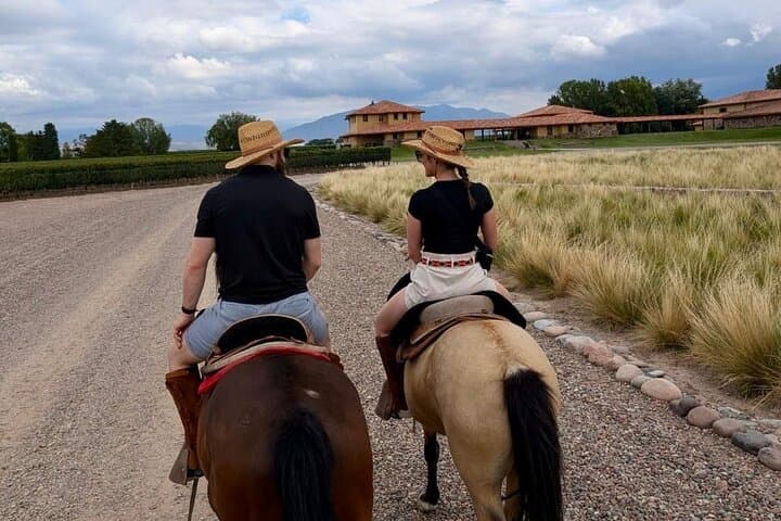 Horseback Riding Through Mendoza Vineyards with Tupungato Views and Wine Tasting