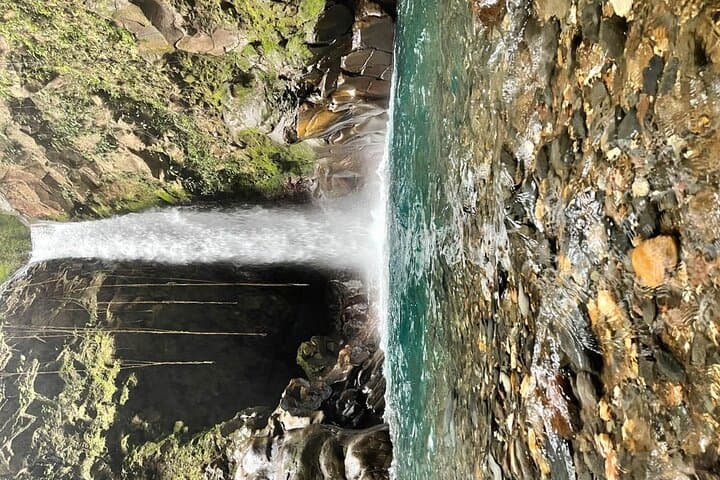 Rincón de la Vieja Volcano Hike, Waterfall Swim & Hot Springs with Lunch photo 6