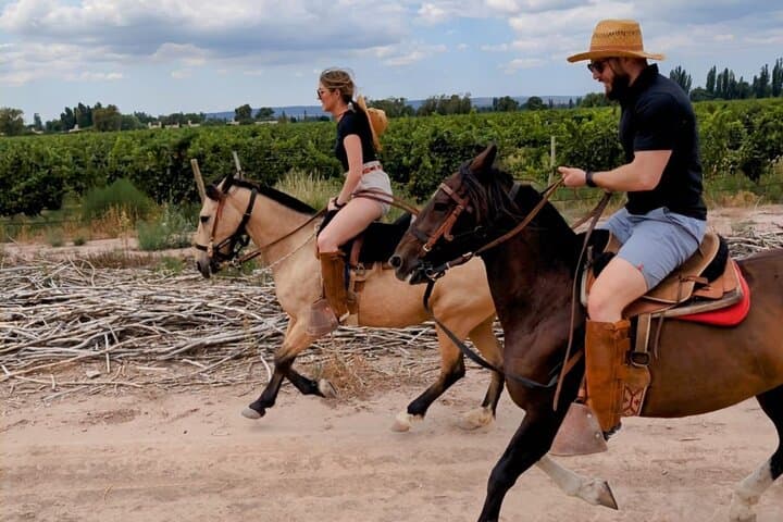 Horseback Riding Through Mendoza Vineyards with Tupungato Views and Wine Tasting photo 2