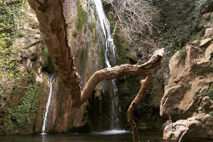 Richti Waterfall & Ancient Olive Tour: Gorge Hike, Swim and Azoria Ruins photo 3