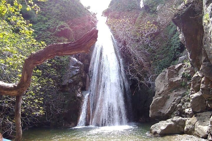 Richti Waterfall & Ancient Olive Tour: Gorge Hike, Swim and Azoria Ruins
