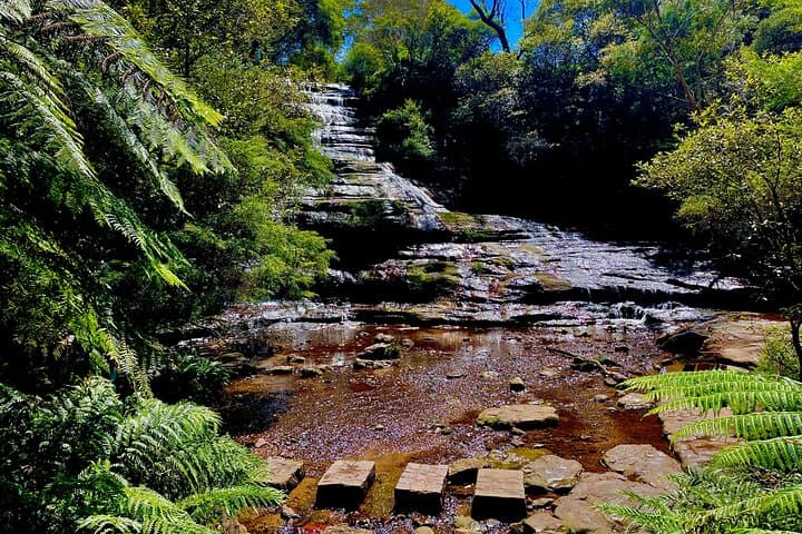 Blue Mountains & Sydney Zoo Day Trip — Scenic World, Three Sisters & Koalas photo 4