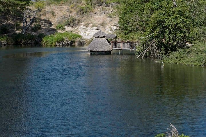 2-Day Private Tsavo East Safari from Mombasa — Game Drives & Overnight Lodge photo 4