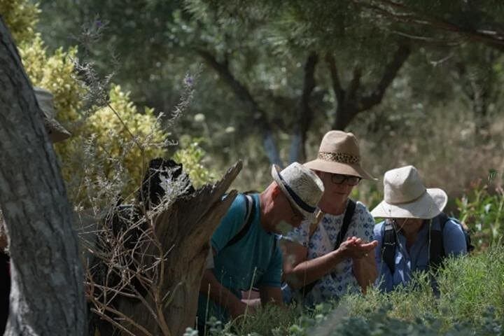 Off-Road Safari to Crete's Traditional Villages and Botanical Park photo 2