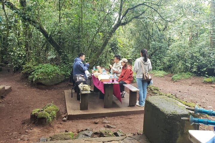 Marangu Route Day Hike on Kilimanjaro — Rainforest Trails to Maundi Crater Views