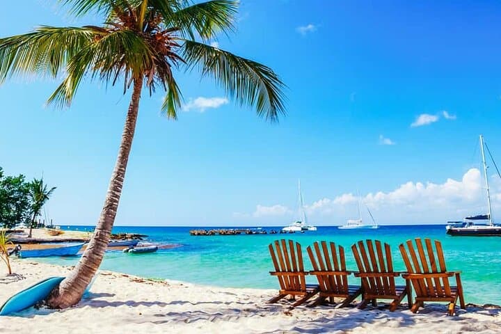 Miches Catamaran to Saona Island: Full-Day Saona Island Excursion with Buffet Lunch