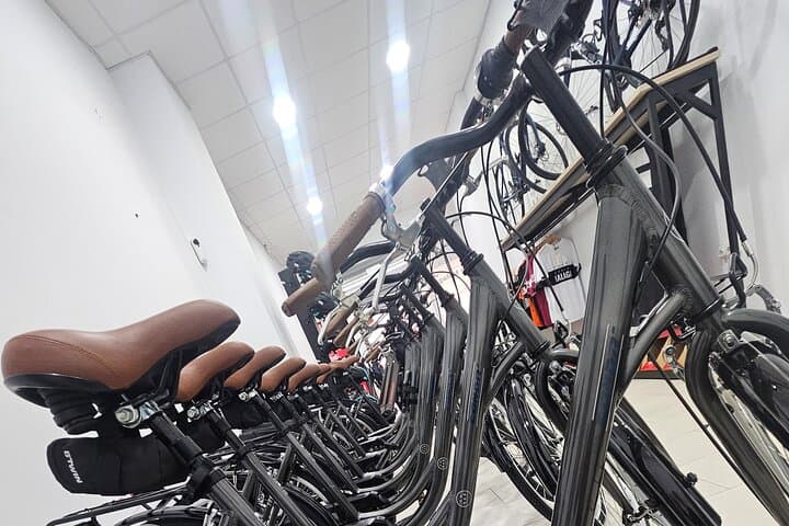 Bike Rentals in Malaga: Explore the Costa del Sol by Two Wheels