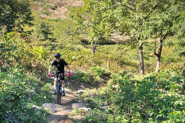 Niseko Mountain Biking Tour — Singletrack, Volcanic Trails & Mt. Yotei Views