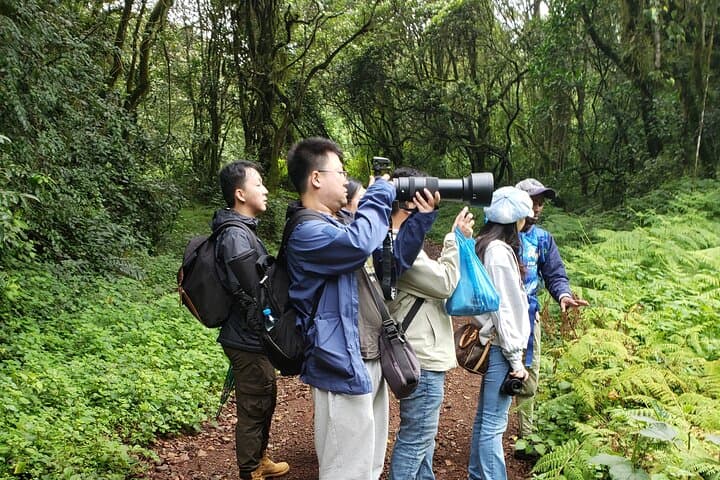Marangu Route Day Hike on Kilimanjaro — Rainforest Trails to Maundi Crater Views photo 4
