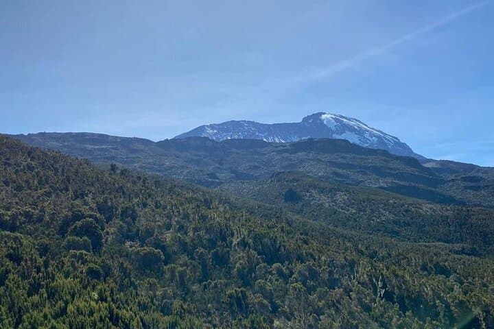 Marangu Route Day Hike on Kilimanjaro — Rainforest Trails to Maundi Crater Views photo 5