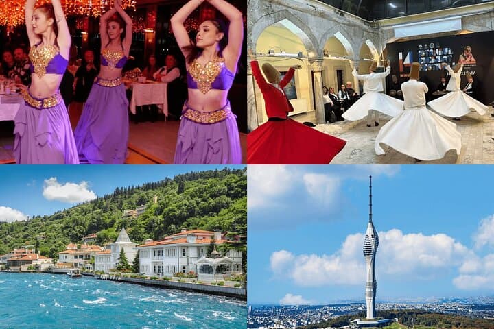 Istanbul E-pass — Skip-the-Line Access to Hagia Sophia, Topkapi & Bosphorus photo 4