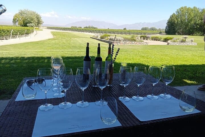 Horseback Riding Through Mendoza Vineyards with Tupungato Views and Wine Tasting photo 4