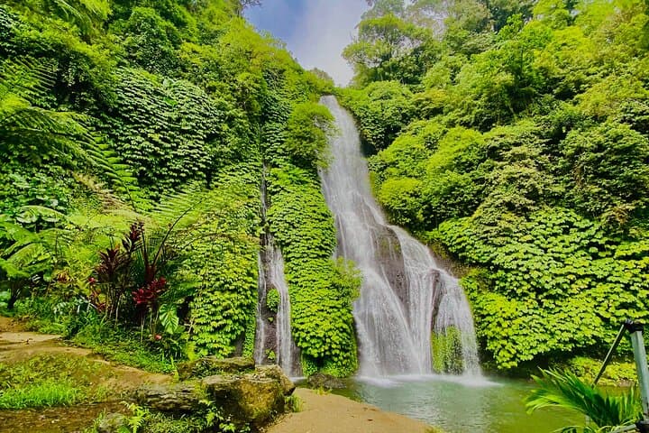 Explore Munduk: Customized 8‑Hour Day Tour in North Bali