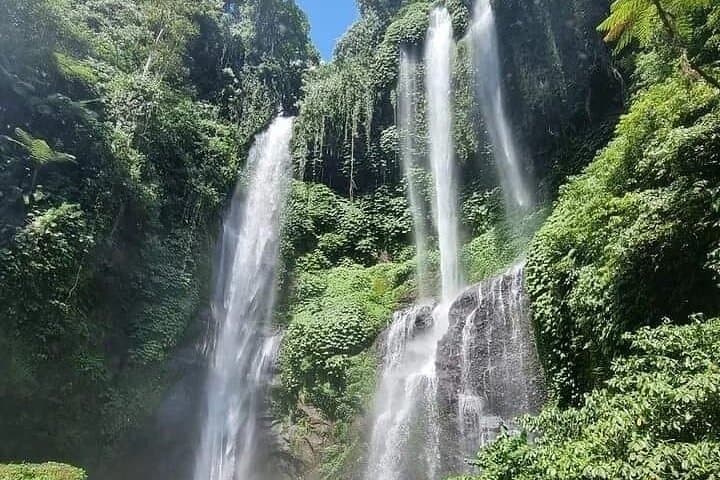 Explore Munduk: Customized 8‑Hour Day Tour in North Bali photo 5