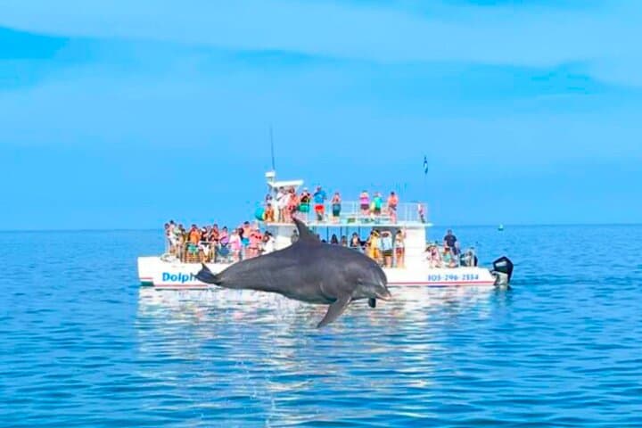 Key West Dolphin and Snorkel Experience: Explore Coral Reefs and Sunset Cruises photo 2