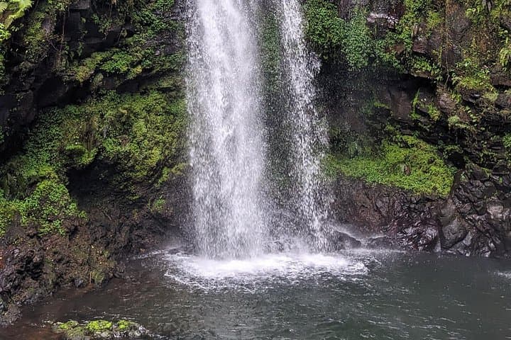 Antsiranana Amber Mountain Full-Day Tour — Rainforest Hikes, Waterfalls & Lemurs