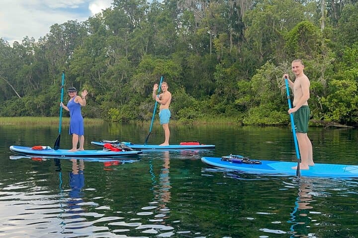 Paddleboard Rental at Three Sisters Springs – Crystal River Manatee Refuge photo 2