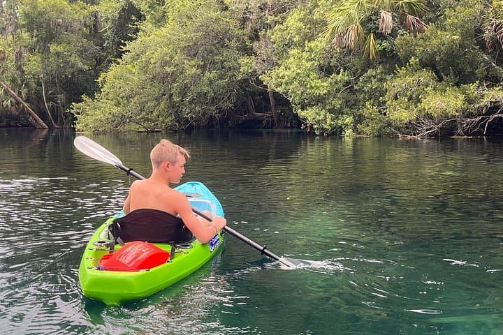 Clear-Bottom Kayak Experience at King’s Bay & Three Sisters Springs — Crystal River Manatee Viewing photo 3