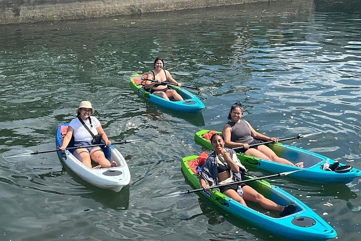 Clear-Bottom Kayak Experience at King’s Bay & Three Sisters Springs — Crystal River Manatee Viewing photo 4