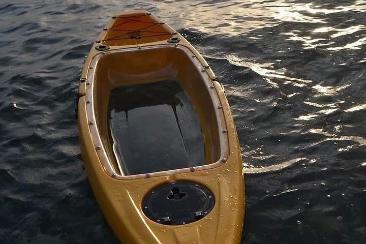 Clear-Bottom Kayak Experience at King’s Bay & Three Sisters Springs — Crystal River Manatee Viewing