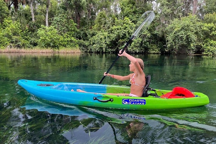 Clear-Bottom Kayak Experience at King’s Bay & Three Sisters Springs — Crystal River Manatee Viewing photo 5