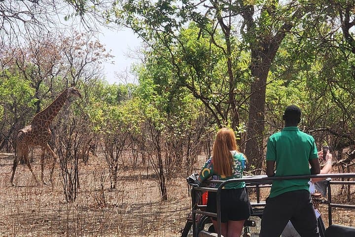 Fathala Wildlife Reserve Safari: Up-Close Wildlife & Guided Lion Walk photo 3
