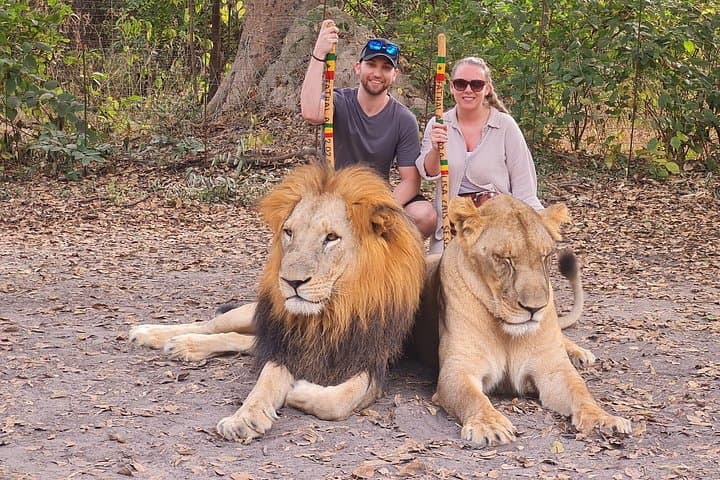Fathala Wildlife Reserve Safari: Up-Close Wildlife & Guided Lion Walk photo 5