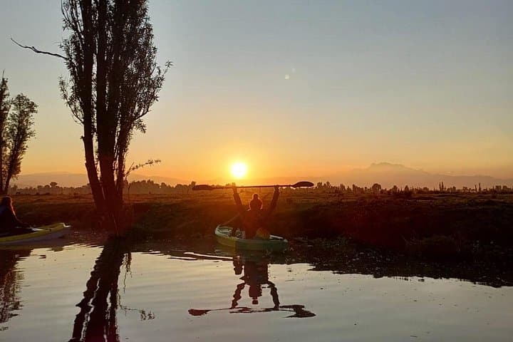 Kayaking the Xochimilco Canals at Sunrise: Agroecological Tour & Axolotl Encounter photo 2