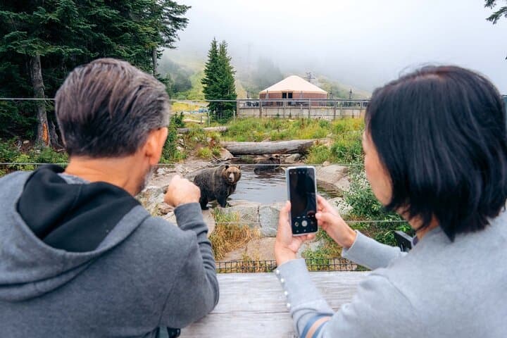Capilano Suspension Bridge and Grouse Mountain: North Shore Day Tour from Vancouver photo 2