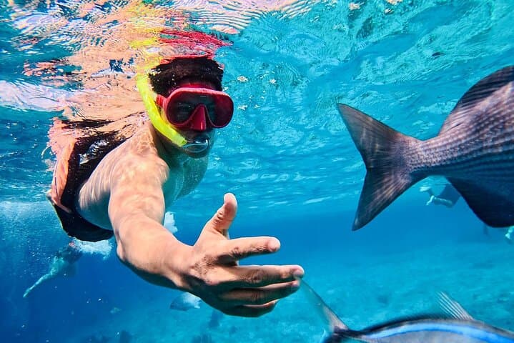 Snorkel Costa Maya: All-Inclusive Reef & Beach Club Day Pass photo 3