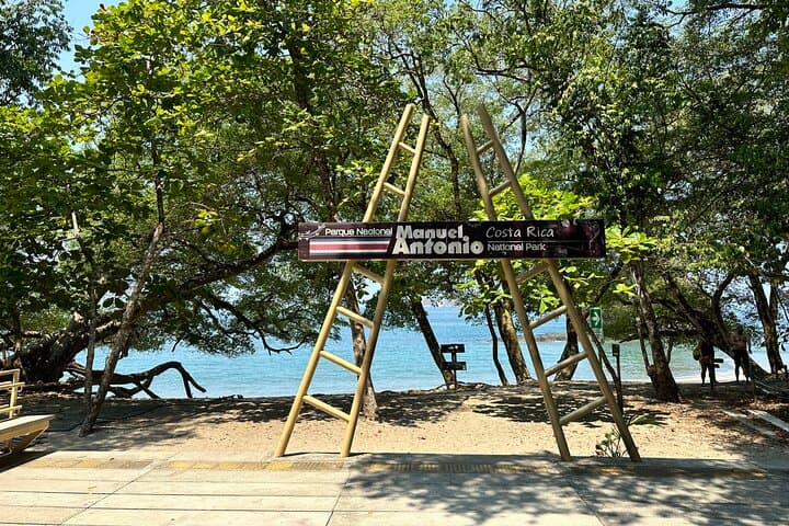 Manuel Antonio Park and Beach Tour: Guided Rainforest Hike & Beach Break from Jaco