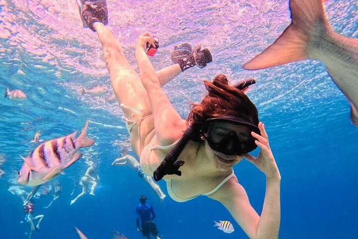 Snorkel Costa Maya: All-Inclusive Reef & Beach Club Day Pass photo 4