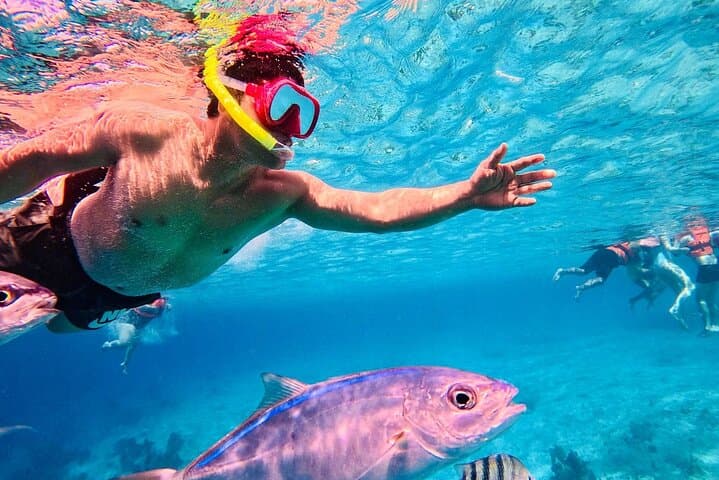Snorkel Costa Maya: All-Inclusive Reef & Beach Club Day Pass photo 5